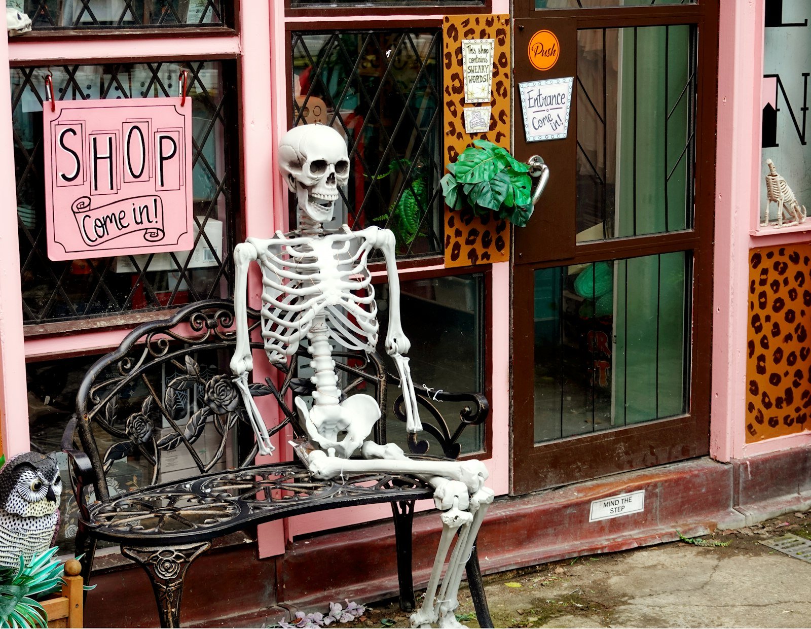 Halloween skeleton decoration sitting on a bench outside a small shop entrance