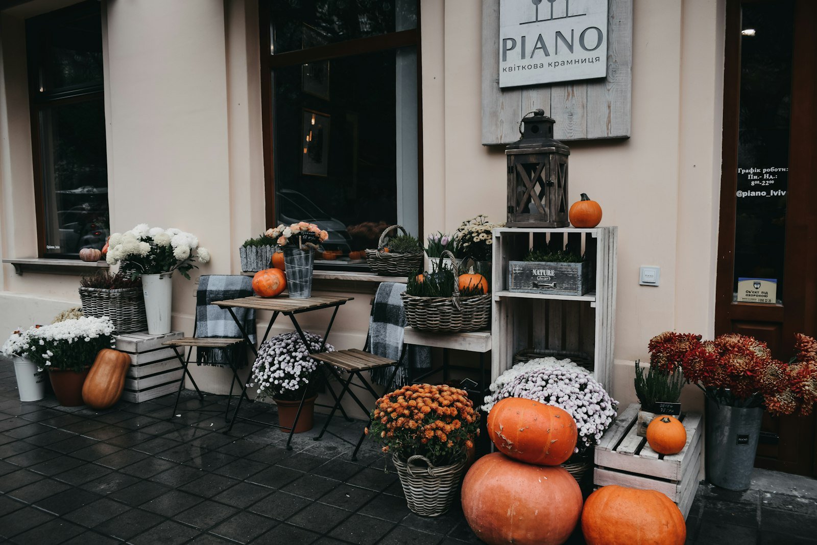 Pumpkins and autumn plants arranged on the pavement outside a storefront
